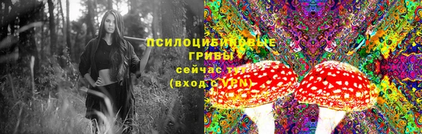 spice Аркадак