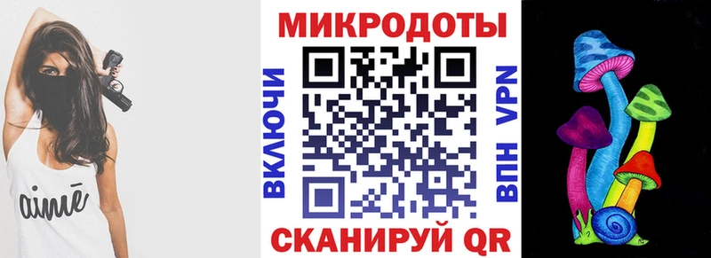 где купить   Талдом  Галлюциногенные грибы GOLDEN TEACHER 